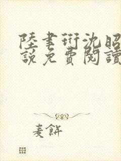 陆聿珩沈昭宁小说免费阅读