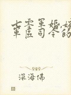 七零军婚,嫁给军区司令的小说