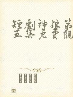 短剧神狼第二十五集免费观看