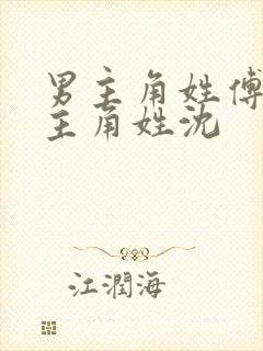 男主角姓傅,女主角姓沈