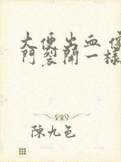 大便出血 像肛门裂开一样