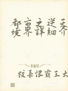 都市之逆天修仙境界详细介绍