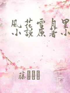 风花雪月里爱你小说原著小说