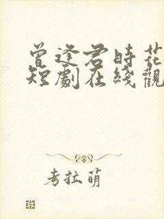 曾逢君时花照眼短剧在线观看