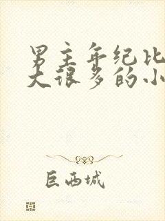 男主年纪比女主大很多的小说