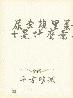 尿常规里蛋白质+是什么意思