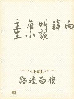 主角叫薛向的重生小说