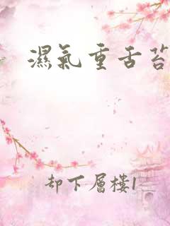 湿气重舌苔黄厚