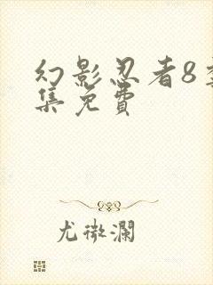 幻影忍者8季全集免费