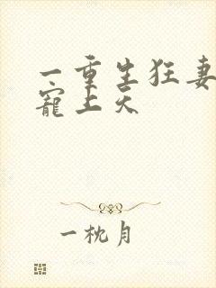 一重生狂妻大佬宠上天