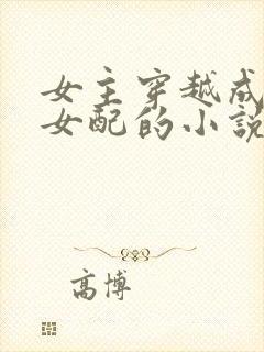 女主穿越成恶毒女配的小说