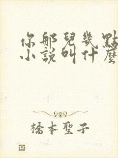 你那儿几点原著小说叫什么