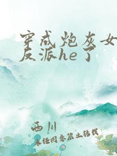 穿成炮灰女配和反派he了