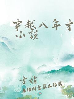 穿越八年才出道 小说