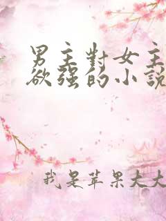 男主对女主占有欲强的小说