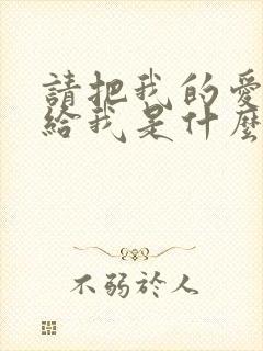 请把我的爱情还给我是什么歌