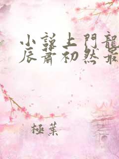 小说上门龙婿叶辰萧初然最新更新