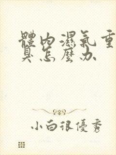 体内湿气重有口臭怎么办