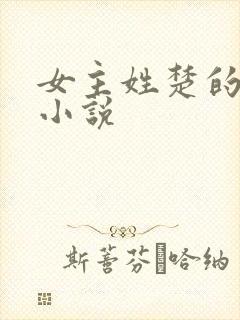 女主姓楚的古言小说