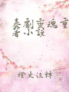 泰剧灵魂重生原著小说