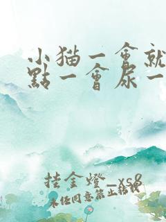 小猫一会就尿一点一会尿一点