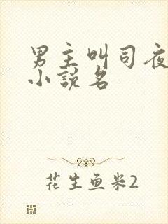 男主叫司夜寒的小说名