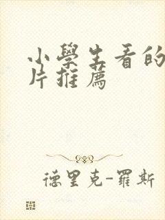 小学生看的动画片推荐