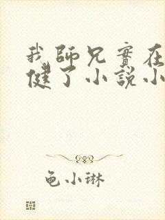 我师兄实在太稳健了小说小说