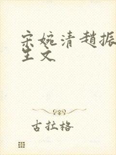 宋婉清赵振国重生文