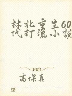 林北重生60年代打猎小说推荐