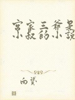 宫家三爷是女主小叔的小说
