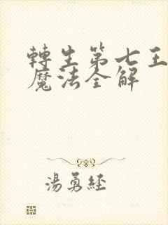 转生第七王子的魔法全解