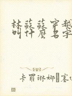 林苏苏穿越小说叫什么名字