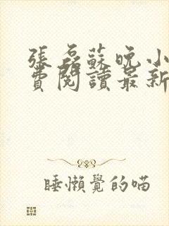 张磊苏晚小说免费阅读最新章节更新时间