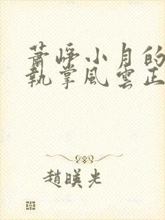 萧峥小月的小说执掌风云正版许国华