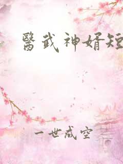 医武神婿短剧