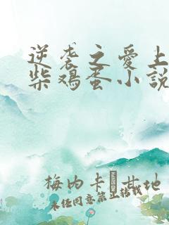 逆袭之爱上情敌柴鸡蛋小说免费完整在线阅读