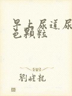 早上尿道尿出白色颗粒