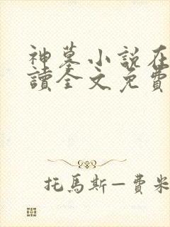 神墓小说在线阅读全文免费