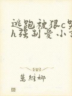 逃跑被狠c哭高h强制爱小说