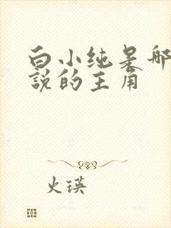 白小纯是哪部小说的主角