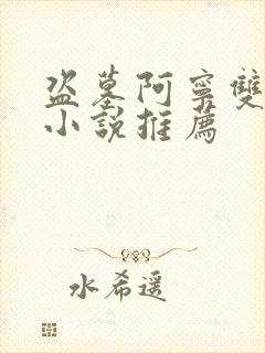 盗墓阿宁双女主小说推荐