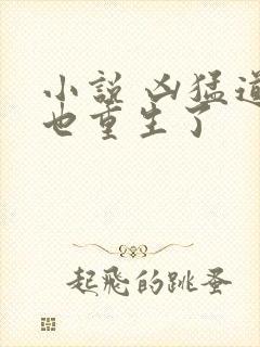 小说 凶猛道侣也重生了