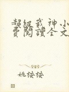 超级武神小说免费阅读全文