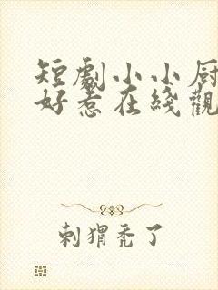 短剧小小厨娘不好惹在线观看