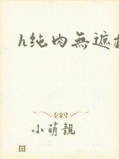 h纯肉无遮挡