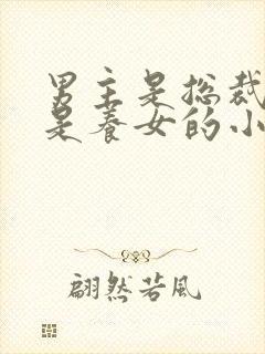 男主是总裁女主是养女的小说