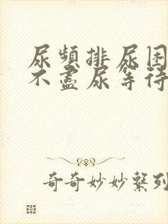 尿频排尿困难尿不尽尿等待