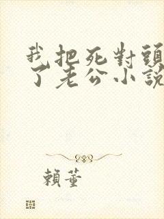 我把死对头养成了老公小说