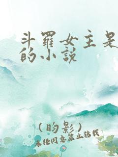 斗罗女主是宁天的小说